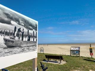 Le gîte du Bois Robin - 2 bedroom house - 4