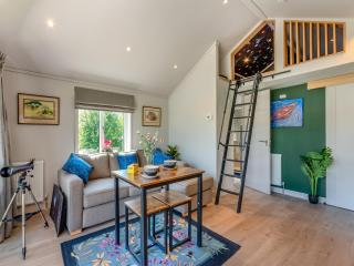 Cranbourne Chase Stargazer - Ukc6914 - 8