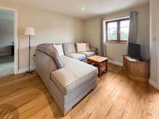 The Wrens - Uk50181 - Mare Green - 8