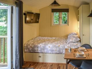 Oak - Ukc4846 - 5