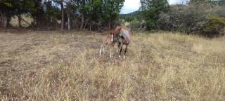 Hacienda El Atardecer, vía a Loja - 8
