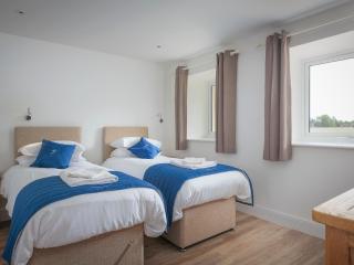 Bewick Swan - Ukc2111 - 4