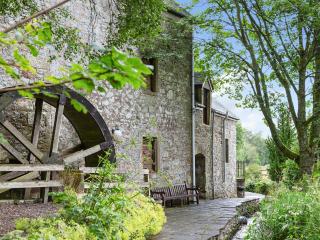 Fochy Cottage - 3
