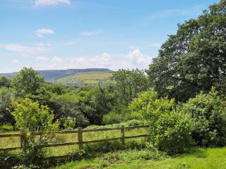 Thatched Cottage - Uk50261 - 9