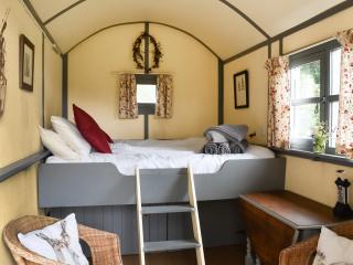 Brown Hare - Uk49799 - Brecon - 5