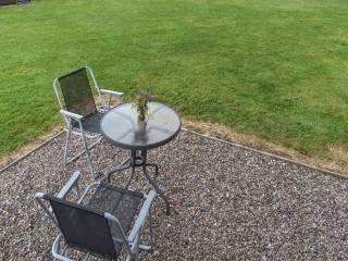 Brown Hare - Uk49799 - 1