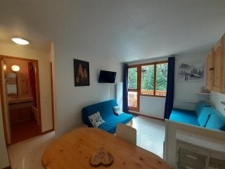 Appartement 2 pièces proche télécabine, 4 personnes, parking gratuit - FR-1-561-145 - 8