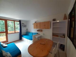 Appartement 2 pièces proche télécabine, 4 personnes, parking gratuit - FR-1-561-145 - 6