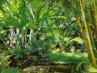 Maison de campagne à St Joseph pour découverte du sud sauvage - FR-1-786-66 - 9