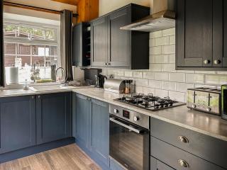 The Curious Stag - 2