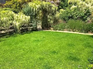 Cider Cottage - Uk50076 - 1