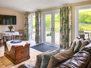 Ridge View Lodge - Uk49924 - Dumfries - 8