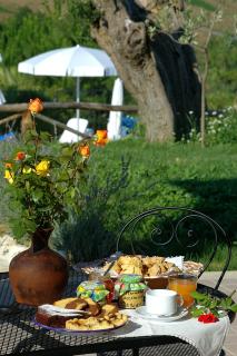 Agriturismo Tenuta Sol Alto - Monsampolo del Tronto - 5