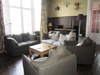 Spacious Spa Villa with Garden - 1