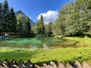 Ferienhaus Fux - Your Lake and Ski Hideaway at Tauplitz near Hallstatt - 8