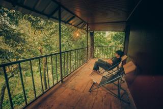 Ela Ecoland Nature Retreat - 8