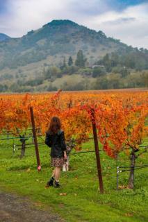 Uncork & Unwind I Sip, Soak & Stroll Downtown Napa - 3