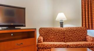 Econo Lodge Cuba I-86 - 9