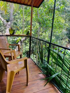 Wonder Tree Lodge - 6