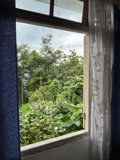 Rokas Eco Retreat Farmstay - 4