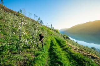 Trolltunga Stay - 9