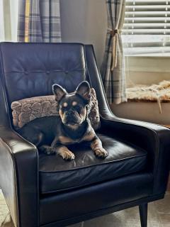 Pinfold Cottage, Dog Friendly Yorkshire Coast & Countryside - 9