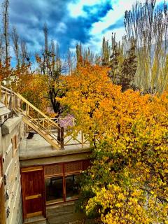 The 2 Magpies, Hunza - 0