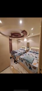 شقه مفروشه شارع جيهان يومي او شهري او سنوي برج حديث - 3