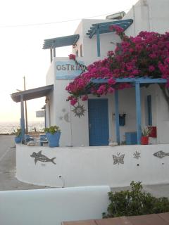 Ostria Vento - Pollonia - 6