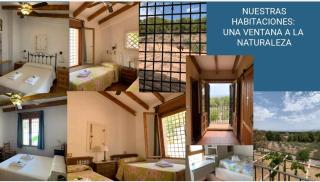 Casa del Santo - 5