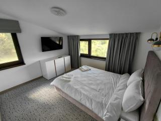 Bellevue Luxury Apartment - 1