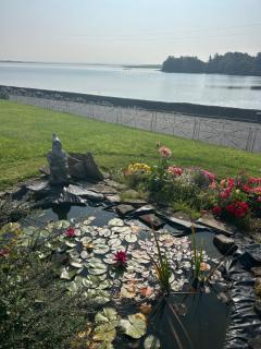 Killala B&B Avondale - 3
