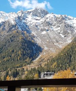 Le Sapi 1E Balcon panoramique Aiguilles Rouges avec parking gratuit - 0