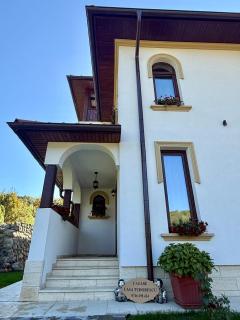 Casa Tudorescu - 9