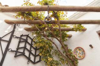 Casa Rural El Membrillo - 0