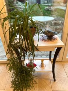 Les Vignes - Villa à 1 mn de Metz - 7