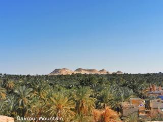 Siwa Oracle Hostel - 6