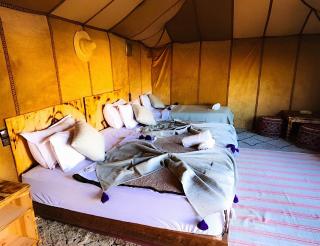 Luxurious Desert Camp - 4