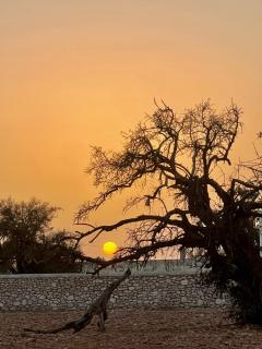 Villa Outland - 8