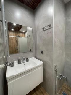 Modern and Elegant Apartment - 2