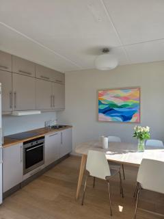 Penthouse apartment in city center - 8