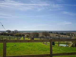 Periwinkle No5 - Uk49249 - 9