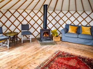 Russet Yurt - Ukc6945 - 5