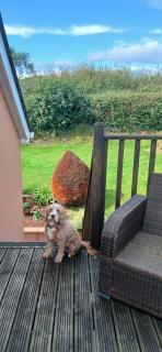 Garden View Apartment - 6