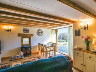 Aberserw Cottage - 6