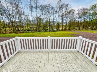 Woodland Serenity - 1