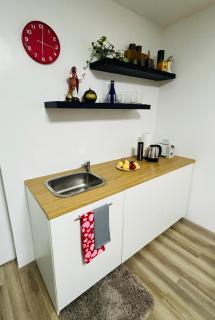 New Studio Unit in Naga City - 5
