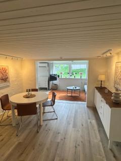Nyrenoverad 2-rummare 10 min från Jönköping - 7