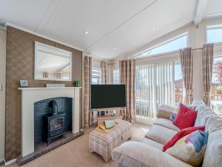 Red Robin - Uk49581 - 8