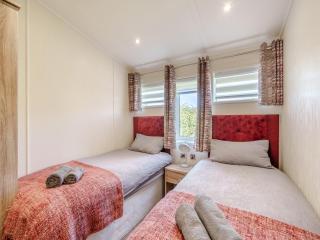 Red Robin - Uk49581 - 2